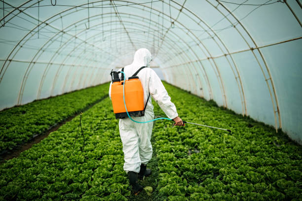 Best Pest Control Near Me in Plattsburgh West, NY