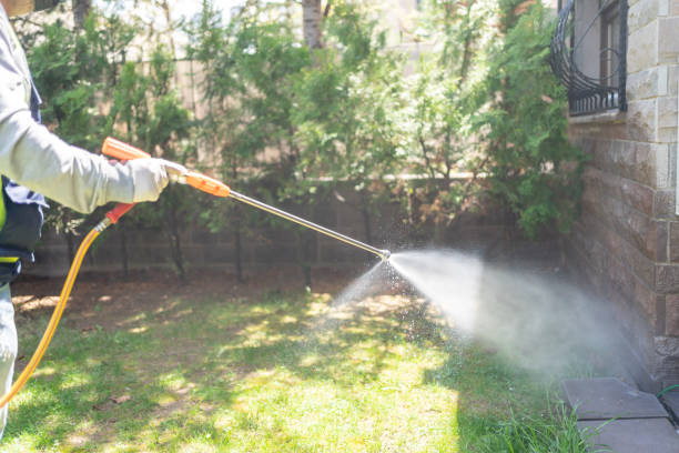 Best Best Pest Control Companies  in Plattsburgh West, NY