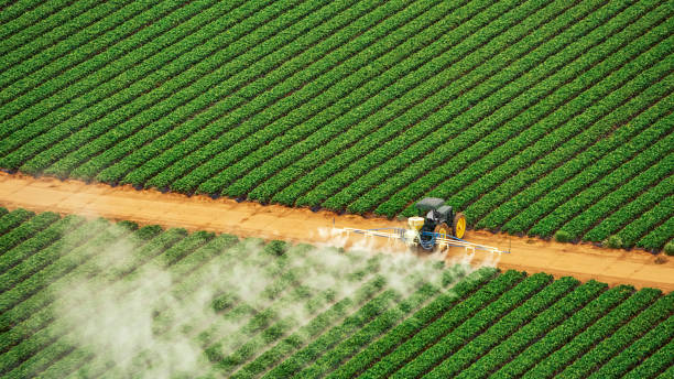 Best Mosquito Control Services  in Plattsburgh West, NY