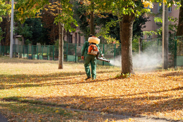 Best Bird Control  in Plattsburgh West, NY