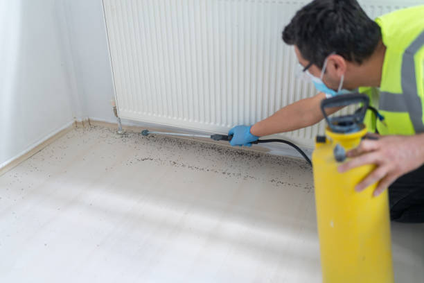 Best Ant Control Services  in Plattsburgh West, NY