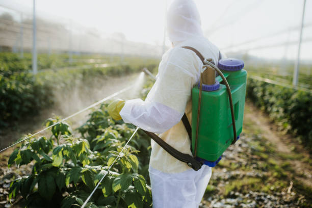Best Pest Control Treatment  in Plattsburgh West, NY